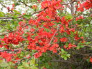 DSCN1598