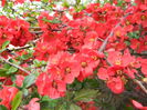 DSCN1619
