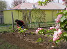 DSCN1630