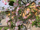 DSCN1632