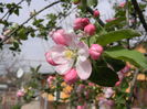 DSCN1634
