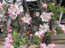 DSCN1640