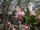 DSCN1646