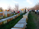 DSCN1683