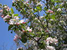 DSCN1797