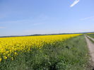 DSCN2002