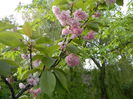 DSCN2026