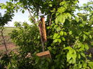 DSCN2406