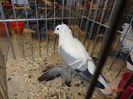 DSC03815