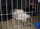 SDC14995