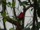 DSCN5062