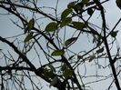 DSCN5097