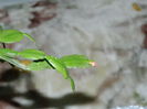 DSCN5108