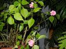 DSCN5128