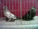IMG02132-20141202-1302