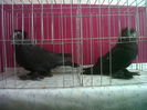 IMG02147-20141202-1313