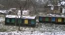 Stupina pe 1 decembrie 2014