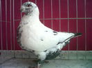 IMG02168-20141203-1257