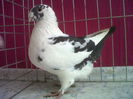 IMG02183-20060301-0233