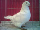 IMG02188-20060301-0251