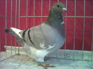IMG02192-20060301-0253