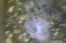 IMG_20141203_205827