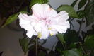 CAM00259