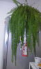 CAM00264
