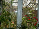 DSCN5133