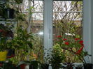 DSCN5136