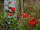 DSCN5144