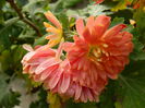 DSCN5175
