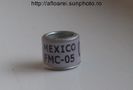 mexico fmc-05JPG