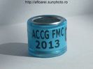 accg fmc 2013 derby