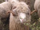 WP_000194 - Copie