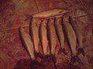 Scobari prinsi azi 4 decembrie 2014