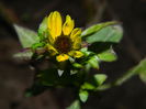 DSCN5217