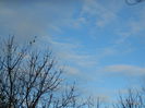 DSCN5254