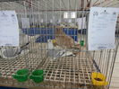 PC060056