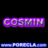 COSMIN