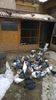 WP_20141206_13_26_57_Pro