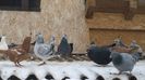 WP_20141205_11_25_35_Pro