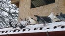 WP_20141205_11_24_04_Pro