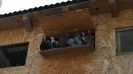 WP_20141204_10_50_32_Pro