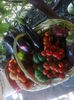 Photo0271