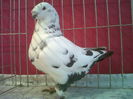 IMG02223-20060304-1516