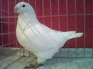 IMG02216-20060304-1512