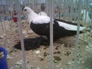 IMG02091-20141129-1448