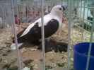 IMG02092-20141129-1448