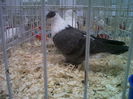 IMG02093-20141129-1449